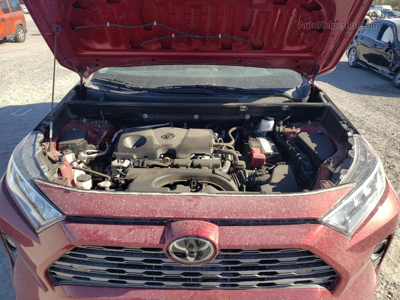 2019 Toyota Rav4 Limited Burgundy vin: 2T3Y1RFV5KW001151