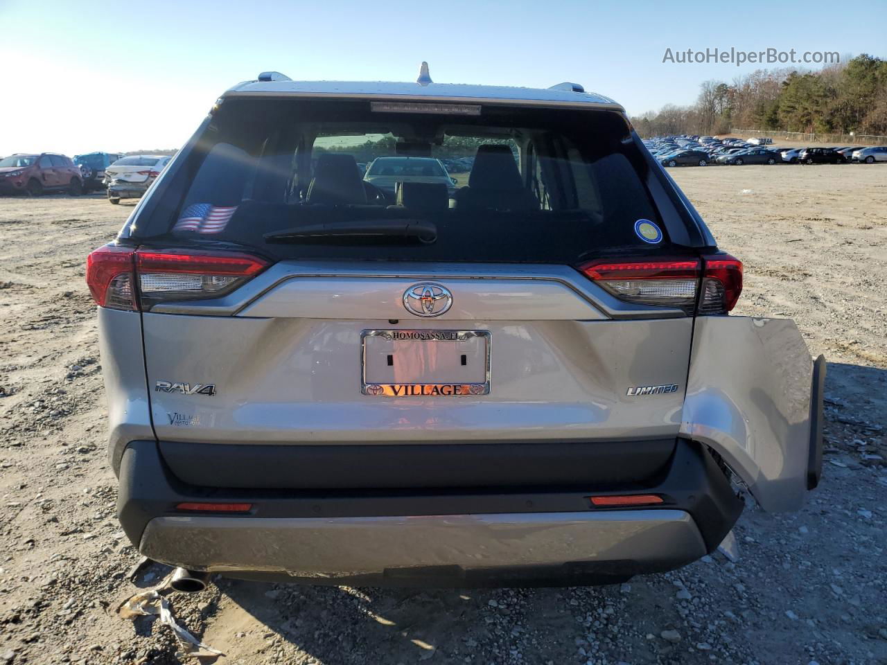 2019 Toyota Rav4 Limited Silver vin: 2T3Y1RFV7KC007275