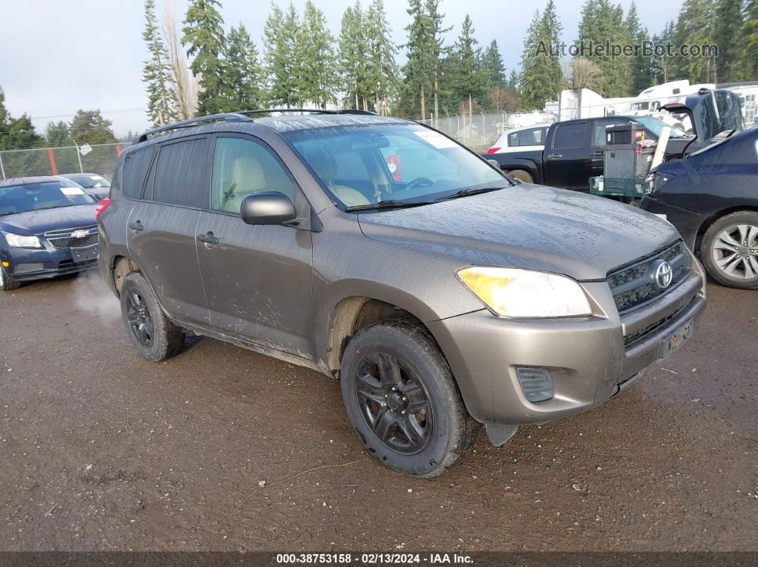 2010 Toyota Rav4   Brown vin: 2T3ZF4DV9AW040545