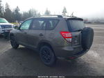 2010 Toyota Rav4   Brown vin: 2T3ZF4DV9AW040545