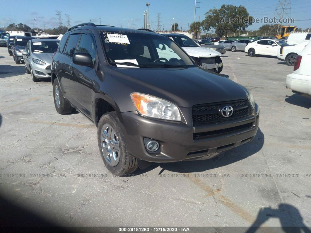 2011 Toyota Rav4 Brown vin: 2T3ZF4DVXBW081350