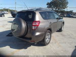 2011 Toyota Rav4 Brown vin: 2T3ZF4DVXBW081350