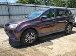 2016 Toyota Rav4 Le Purple vin: 2T3ZFREV2GW274711