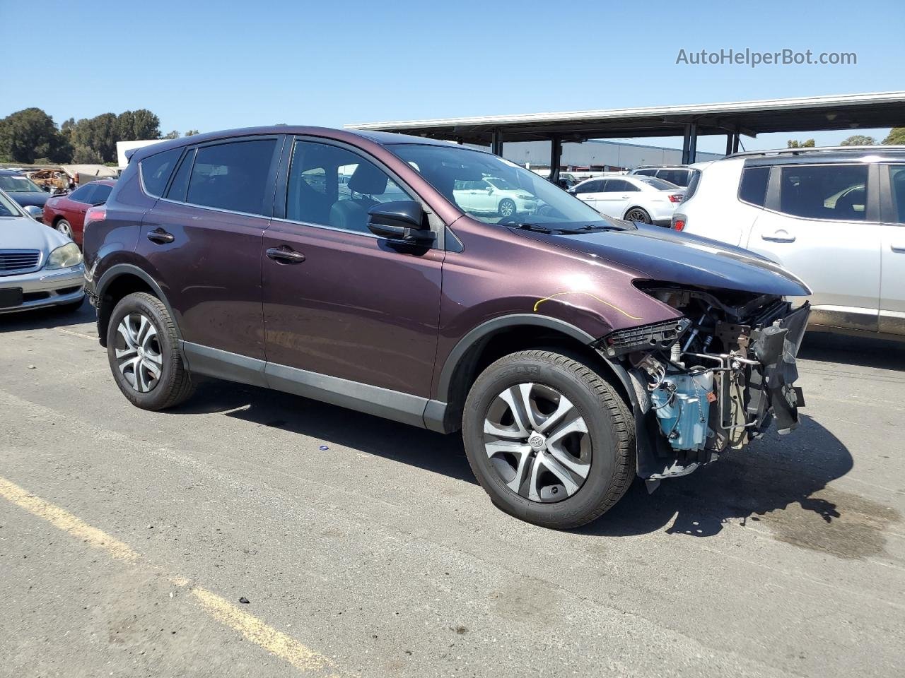 2017 Toyota Rav4 Le Purple vin: 2T3ZFREV3HW401953