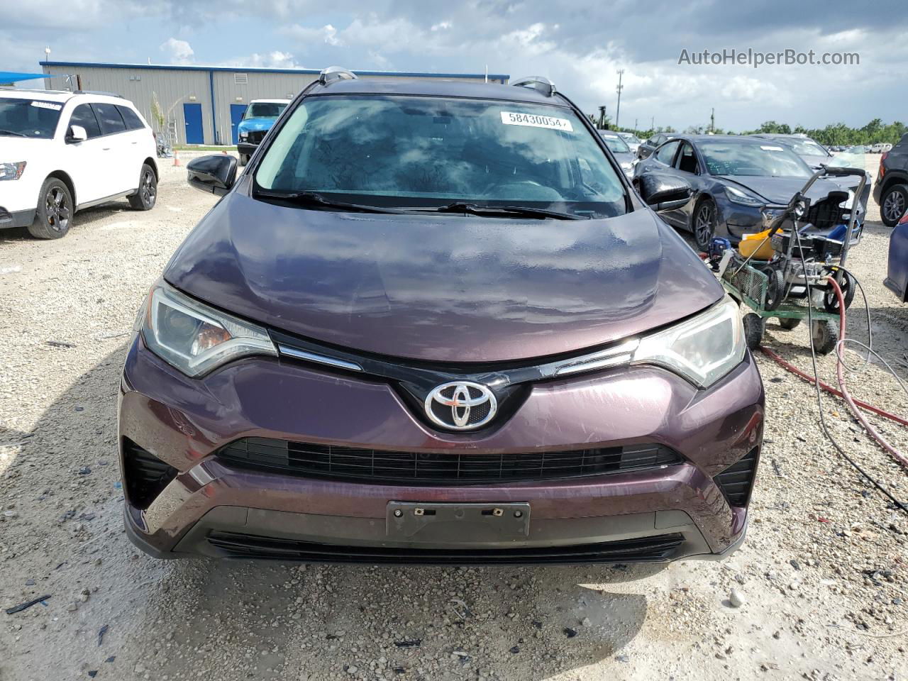 2016 Toyota Rav4 Le Purple vin: 2T3ZFREV9GW290002