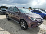 2016 Toyota Rav4 Le Purple vin: 2T3ZFREV9GW290002