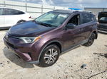 2016 Toyota Rav4 Le Purple vin: 2T3ZFREV9GW290002