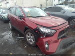 2020 Toyota Rav4 Xle Maroon vin: 2T3P1RFV7LW122471