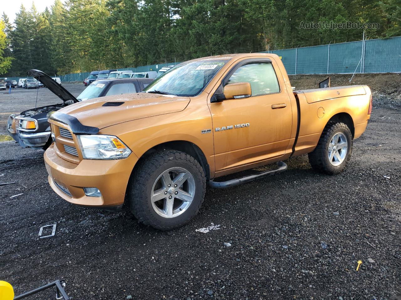 2012 Dodge Ram 1500 Sport Оранжевый vin: 3C6JD7CT6CG216904