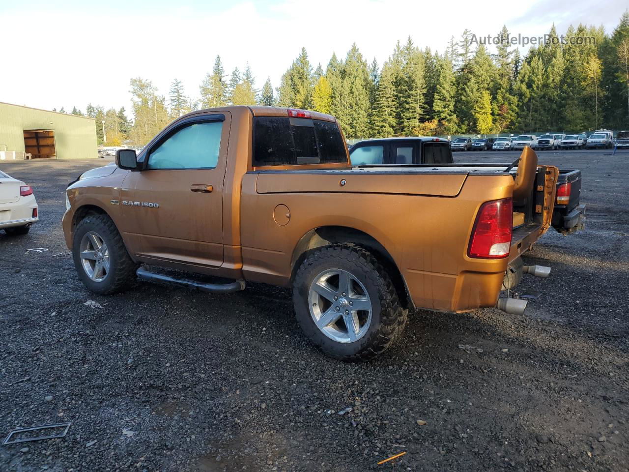 2012 Dodge Ram 1500 Sport Orange vin: 3C6JD7CT6CG216904