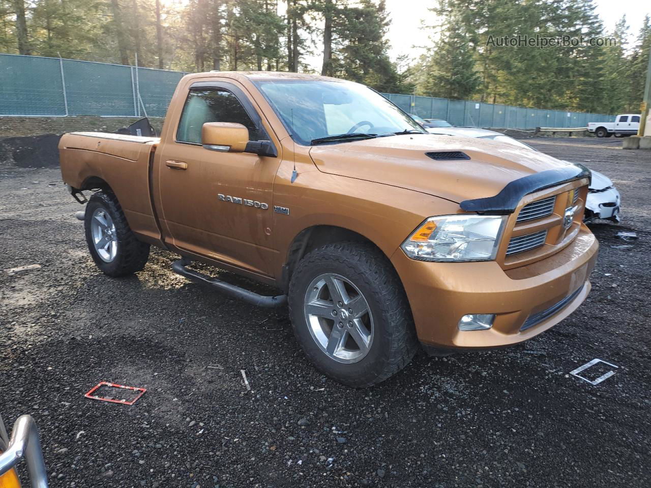 2012 Dodge Ram 1500 Sport Оранжевый vin: 3C6JD7CT6CG216904