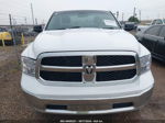 2020 Ram 1500 Classic Tradesman  4x2 8' Box Белый vin: 3C6JR6DT8LG169000