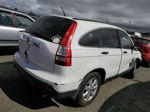 2009 Honda Cr-v Ex Белый vin: 3CZRE38509G701778