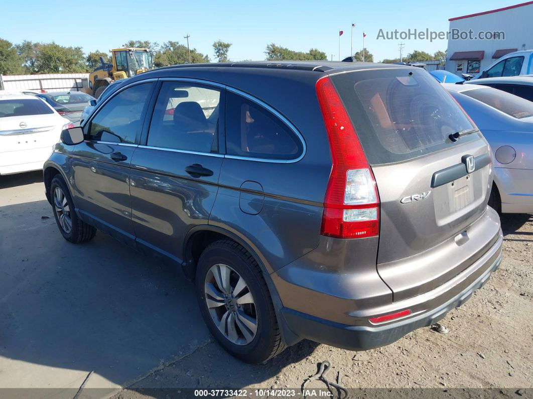 2010 Honda Cr-v Lx Brown vin: 3CZRE3H35AG701293