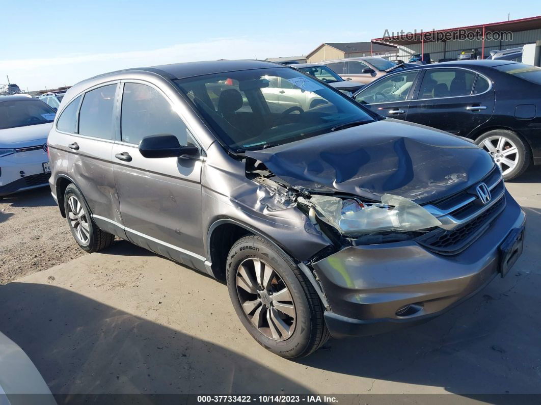 2010 Honda Cr-v Lx Brown vin: 3CZRE3H35AG701293