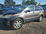 2009 Honda Cr-v Ex Gray vin: 3CZRE48509G704721