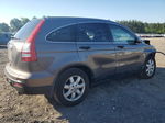 2009 Honda Cr-v Ex Gray vin: 3CZRE48509G704721