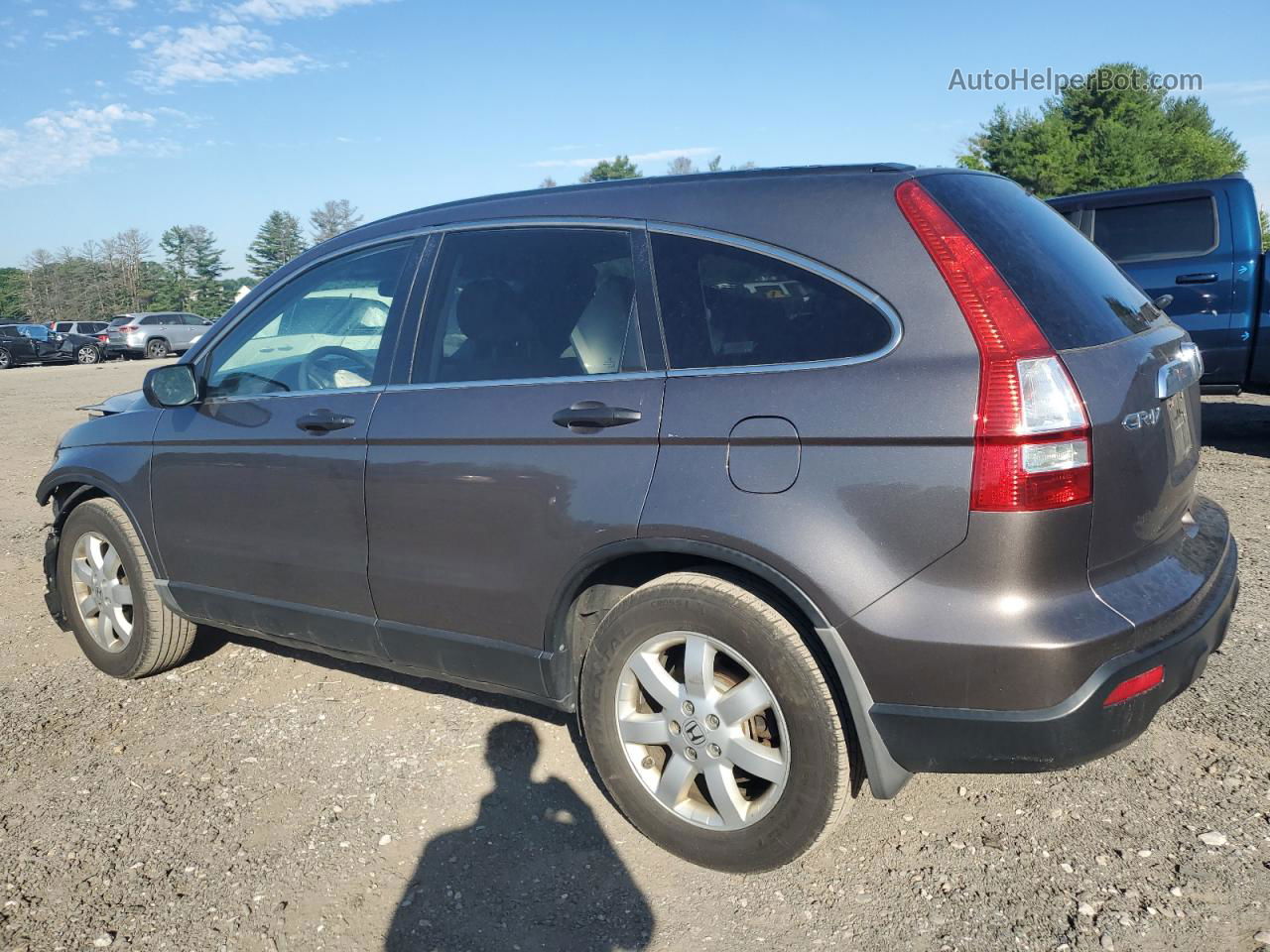 2009 Honda Cr-v Ex Gray vin: 3CZRE48509G704721