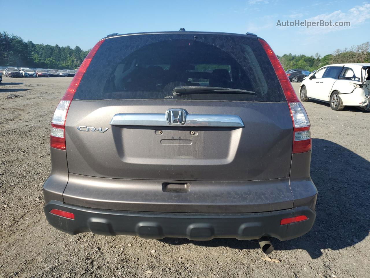 2009 Honda Cr-v Ex Gray vin: 3CZRE48509G704721