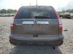 2009 Honda Cr-v Ex Tan vin: 3CZRE48519G707675