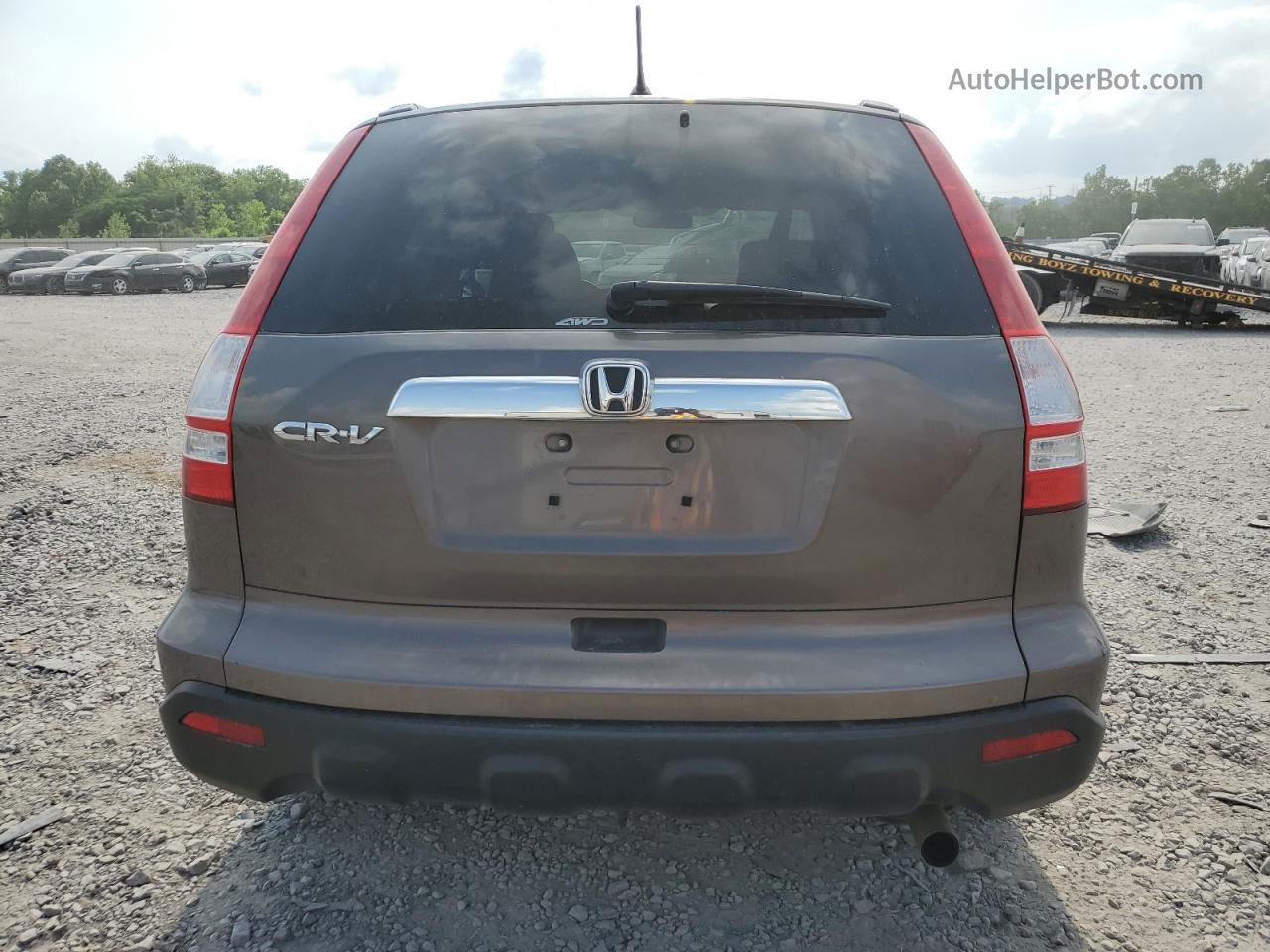 2009 Honda Cr-v Ex Tan vin: 3CZRE48519G707675