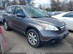 2009 Honda Cr-v Ex Серый vin: 3CZRE48549G705483