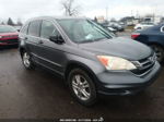 2010 Honda Cr-v Ex Gray vin: 3CZRE4H50AG703654