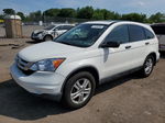 2010 Honda Cr-v Ex White vin: 3CZRE4H50AG707560