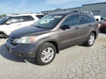 2010 Honda Cr-v Ex Brown vin: 3CZRE4H51AG703257