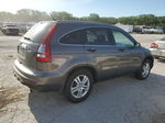 2010 Honda Cr-v Ex Brown vin: 3CZRE4H51AG703257