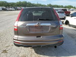 2010 Honda Cr-v Ex Brown vin: 3CZRE4H51AG703257