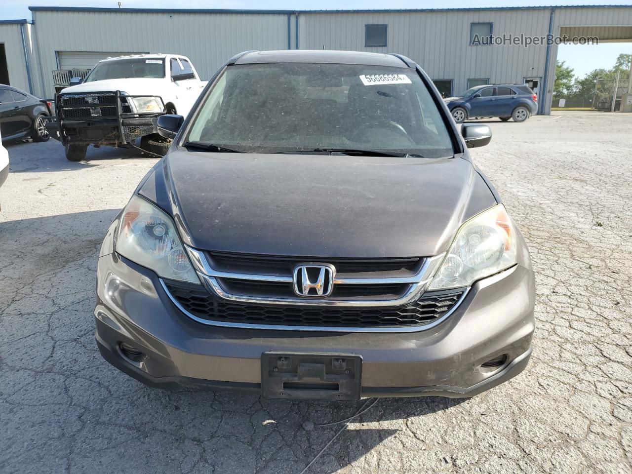 2010 Honda Cr-v Ex Brown vin: 3CZRE4H51AG703257