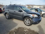 2010 Honda Cr-v Ex Gray vin: 3CZRE4H51AG705011