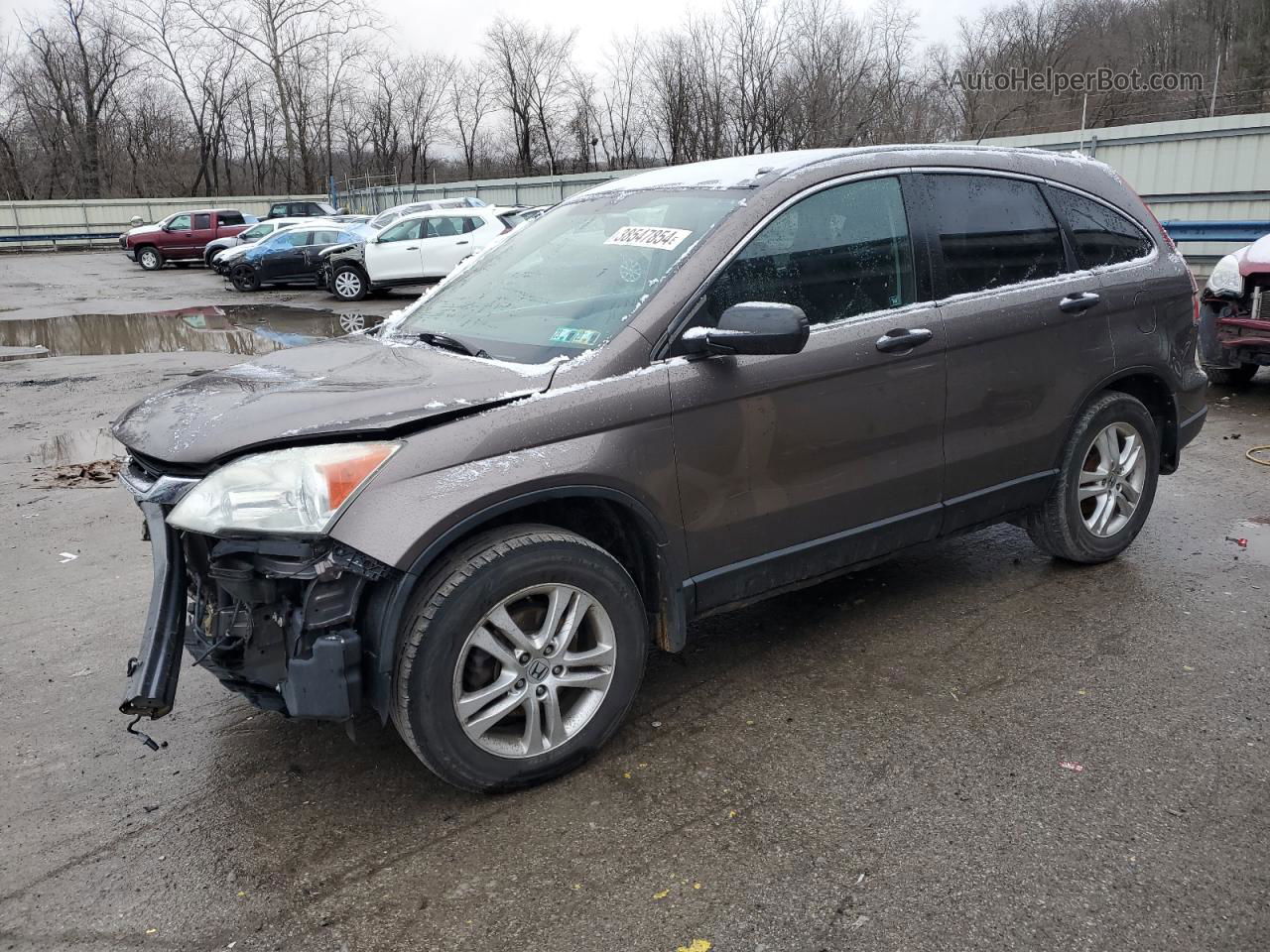 2010 Honda Cr-v Ex Tan vin: 3CZRE4H52AG702151