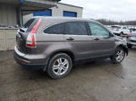 2010 Honda Cr-v Ex Tan vin: 3CZRE4H52AG702151