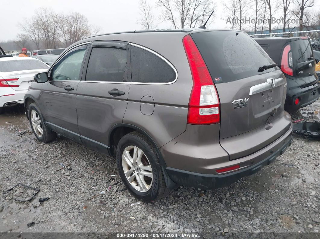 2010 Honda Cr-v Ex Brown vin: 3CZRE4H52AG707253