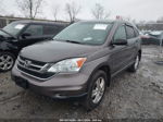 2010 Honda Cr-v Ex Коричневый vin: 3CZRE4H52AG707253