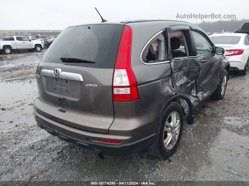 2010 Honda Cr-v Ex Brown vin: 3CZRE4H52AG707253