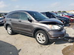 2010 Honda Cr-v Ex Gray vin: 3CZRE4H54AG700403