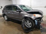 2010 Honda Cr-v Ex Gray vin: 3CZRE4H54AG704676