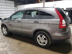 2010 Honda Cr-v Ex Gray vin: 3CZRE4H54AG704676