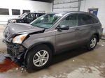 2010 Honda Cr-v Ex Gray vin: 3CZRE4H54AG704676