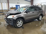 2010 Honda Cr-v Ex Gray vin: 3CZRE4H56AG702931