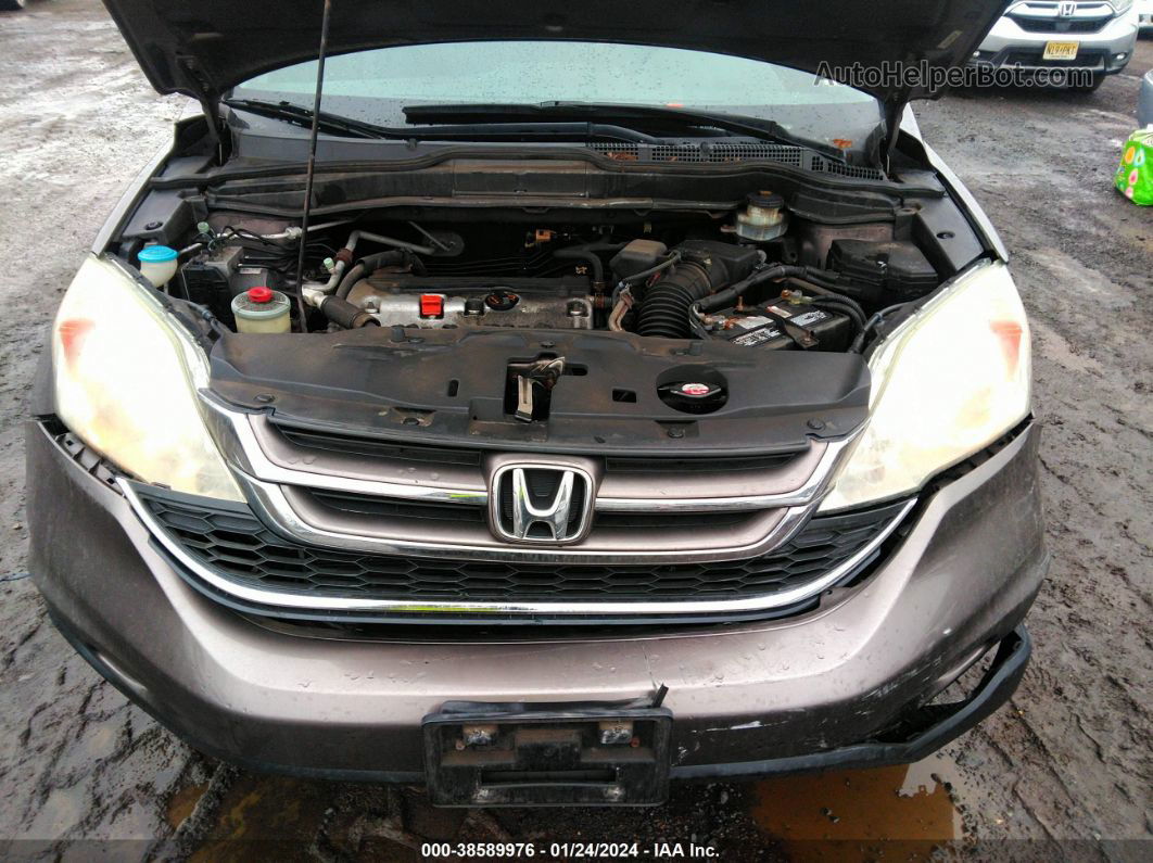 2010 Honda Cr-v Ex Серый vin: 3CZRE4H57AG701397