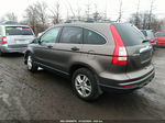 2010 Honda Cr-v Ex Серый vin: 3CZRE4H57AG701397