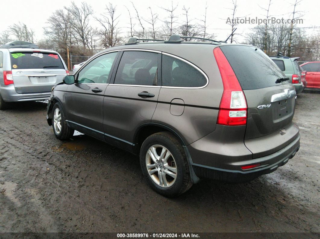 2010 Honda Cr-v Ex Gray vin: 3CZRE4H57AG701397