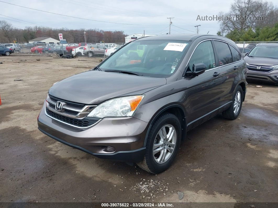 2010 Honda Cr-v Ex Gray vin: 3CZRE4H57AG704901