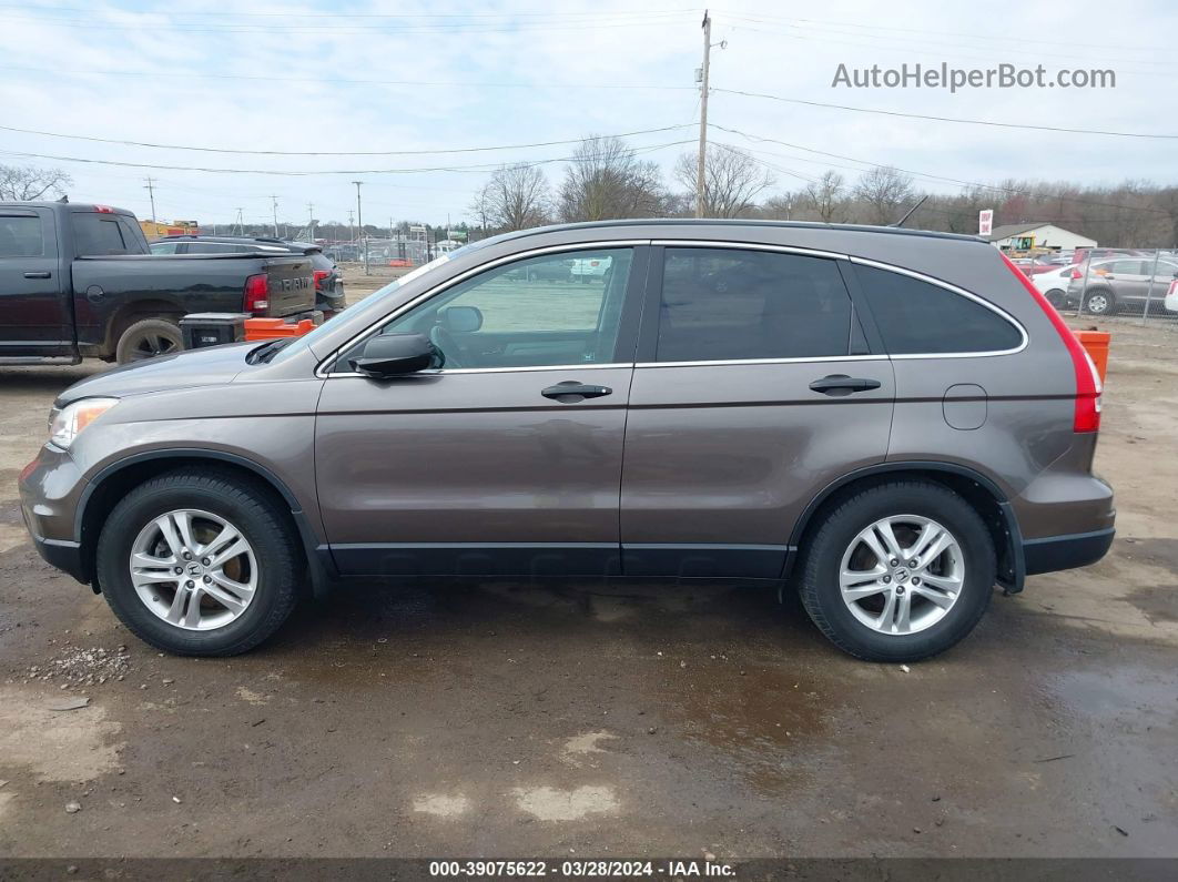 2010 Honda Cr-v Ex Gray vin: 3CZRE4H57AG704901