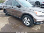 2010 Honda Cr-v Ex Gray vin: 3CZRE4H57AG704901