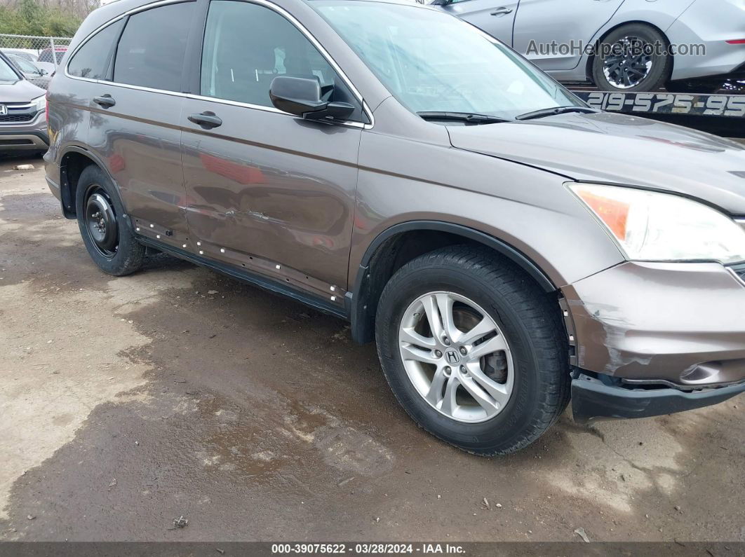 2010 Honda Cr-v Ex Gray vin: 3CZRE4H57AG704901